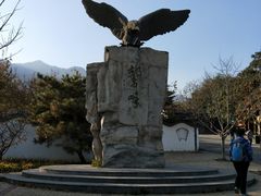 -北京鹫峰国家森林公园
