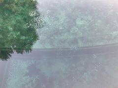 -百脉泉景区