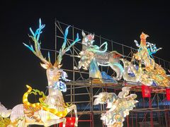 -亚龙湾国际玫瑰谷