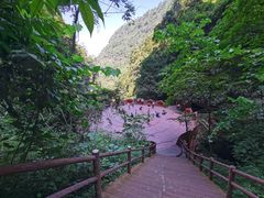 -赤水丹霞旅游区·佛光岩