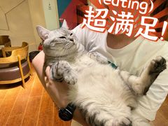 -H立方实景剧情密室(天河旗舰店)