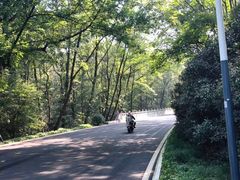 -紫金山山顶公园