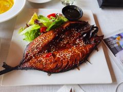 -一棵树·意大利西餐厅One Tree(新城店)