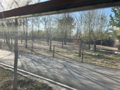 -秦皇岛野生动物园