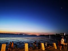 -宝安西湾红树林湿地公园