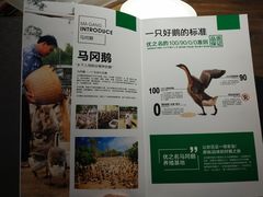 -优之名鹅城