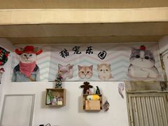 -猫宠乐园·专业洗护
