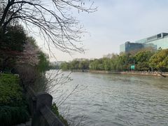 -运河游船(武林门码头)