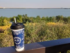 -天津东丽湖风景区