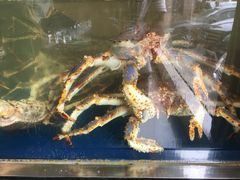 -海景壹号大酒店(惠钱路店)