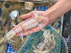 -明记海鲜大排档(巽寮湾店)