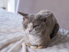 -星光摄影器材城