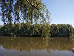 -白渔泡湿地公园