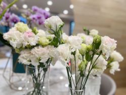 -酉嘉瑜伽YO+YOGA