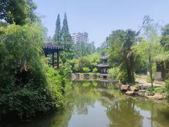 -水绘园
