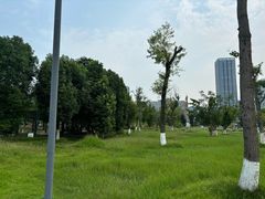 -桂溪生态公园