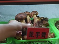 -原林野山菌火锅·炒菌(关上野生菌一条街店)