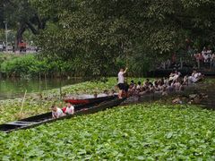 -荔湾湖公园