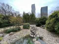 -新虹桥中心花园