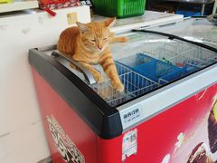 -光头佬室内钓虾场·烧烤·团建·亲子(中山八路店)