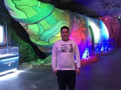 -贝壳梦幻世界