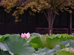 -石湖景区