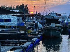 -蓝湾碧波·老字号·疍家非遗海上餐厅