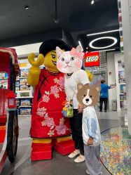 -乐高品牌旗舰店(人民广场店)