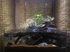 -Together·泰式按摩精油SPA(天山店)