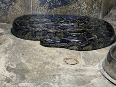-沈阳森林动物园