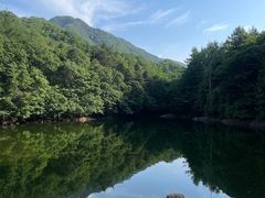 -洛阳白云山景区