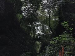 -青城山