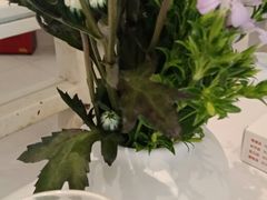 -道道鲜·崇明私房菜(五角场店)