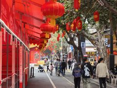 -越秀西湖花市(广州城市广场花卉店)