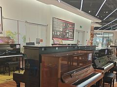 -知音艺术教育培训·钢琴培训·音乐培训(河西金鹰世界校区)