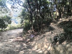 -黄埔油麻山森林公园