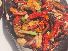 -蘑统田下·野生菌火锅