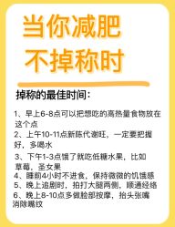 -Fundi张玉珊修身堂·indiba·BTL科技瘦身
