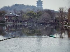 -西湖游船