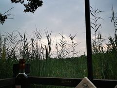 -品渔味湖鲜馆(拈花湾店)
