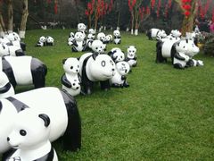 -成都大熊猫繁育研究基地
