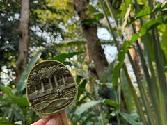 -中国科学院西双版纳热带植物园