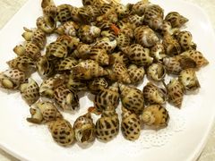 盐焗花螺-吉源大排档·鱼生·海鲜(烧烤彩印厂店)