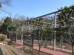 -潜山国家森林公园