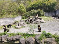 -宁波野生动物园