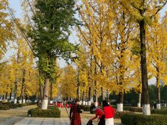 -百林公园-两江幸福广场
