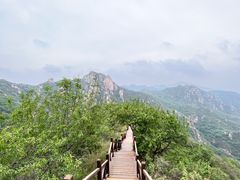 -大岭沟猕猴桃谷风景区