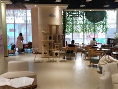 大堂-藏猫猫咖啡主题馆(中央大道店)