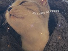 -美联众合动物医院·24h转诊中心