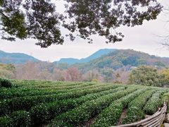 -西湖风景区十里琅珰-五云山
